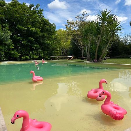 Le Patio, Chambres D Hotes Pour Adultes En Camargue, Possibilite De Naturisme A La Piscine, Емарг Екстер'єр фото