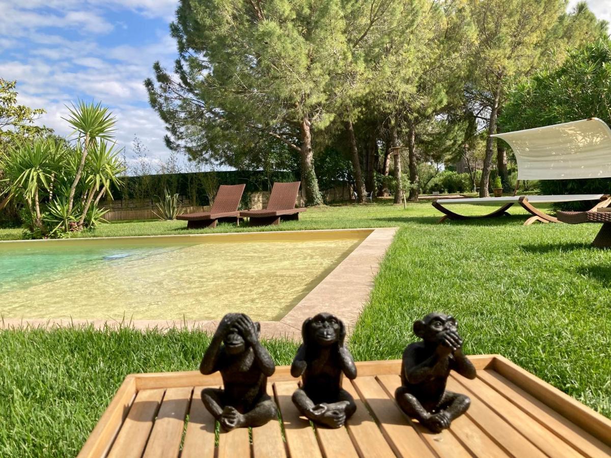 Le Patio, Chambres D Hotes Pour Adultes En Camargue, Possibilite De Naturisme A La Piscine, Емарг Екстер'єр фото
