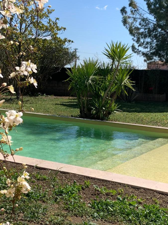 Le Patio, Chambres D Hotes Pour Adultes En Camargue, Possibilite De Naturisme A La Piscine, Емарг Екстер'єр фото