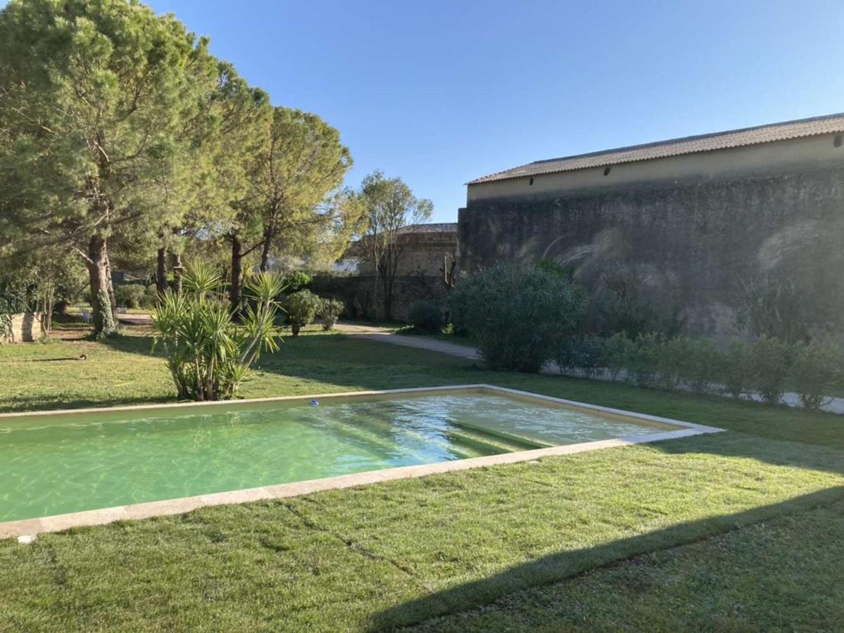 Le Patio, Chambres D Hotes Pour Adultes En Camargue, Possibilite De Naturisme A La Piscine, Емарг Екстер'єр фото