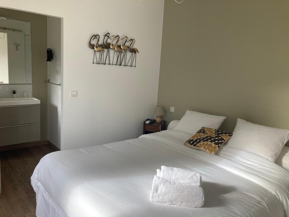 Le Patio, Chambres D Hotes Pour Adultes En Camargue, Possibilite De Naturisme A La Piscine, Емарг Екстер'єр фото